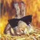Logo van Harvey's Mind