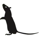 Logo van VTW Plaagdierbeheersing