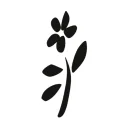 Logo van PLUUK Body