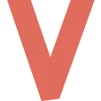 Logo van Netwerk ViZi
