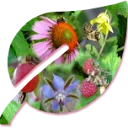Logo van Tasty Biotope