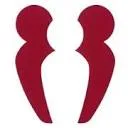 Logo van PIT Self-Placement