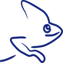Logo van Kameleon-loopbegeleiding