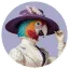 Logo van MISAMI