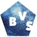 Logo van BVS-schooladvies