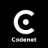 Logo van Codenet