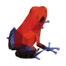 Logo van Blue Jeans Frog Vormgeving