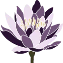 Logo van Fotografie Anke Olthof