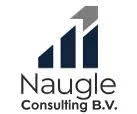 Logo van Naugle Consulting B.V.