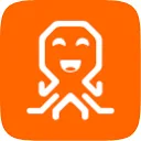 Logo van Budget Security