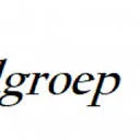 Logo van EMS uitzendgroep b.v. Holland
