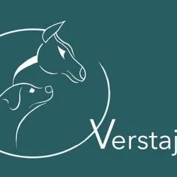 Logo van Verstajem