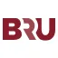 Logo van BRUWISE Groep