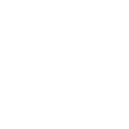 Logo van Bintel