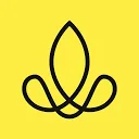 Logo van Sense Company