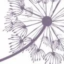 Logo van Bloeise