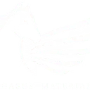 Logo Pegasus Materials