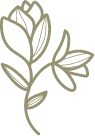 Logo van AromaWise