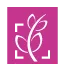 Logo Van der Velden Onderwijsadvies