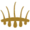 Logo van Hair Science Clinic
