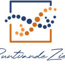 Logo van Puntvandeziel ScanCoaching® & Acupunctuur