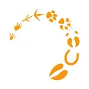 Logo van Dierenartsencombinatie ZuidOost Varkens AND Pluimvee BV