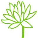 Logo van Dit Lieve Lijf