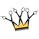 Logo van Kapsalon Prinsheerlijk