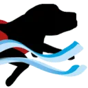 Logo van HydroDogs