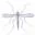 Logo van Diptera.info