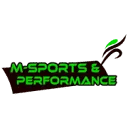 Logo van M-Sports AND Performance