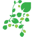 Logo van Dutch Quality Gardens - Visio Vireo Tuinen