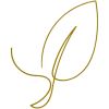 Logo van Rooted in Nature