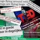 Logo van Minor De Staat van de Wereld HU