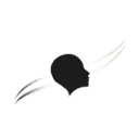 Logo van Fast Lane Vitality