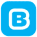 Logo van Buddy Payment