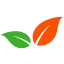 Logo van Fatelli