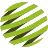 Logo van Spectrigon B.V.