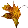 Logo van Grafrust.nl