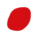Logo van desenzo