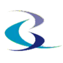 Logo van Byzonder consultancy BV