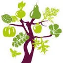 Logo van Start Voedselbos