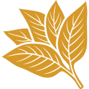 Logo CdF Trading