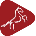Logo van FeestvoorPaarden.nl