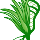 Logo van Grassroots lacrosse