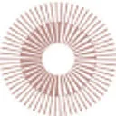 Logo van RAAK