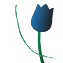 Logo van Association Français des Pays-Bas