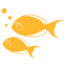 Logo van Ready to Fish