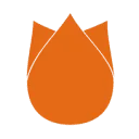 Logo van leernederlands.nl