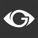 Logo van thevisualg